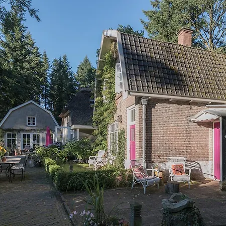 Nummer 21 * Wapenveld